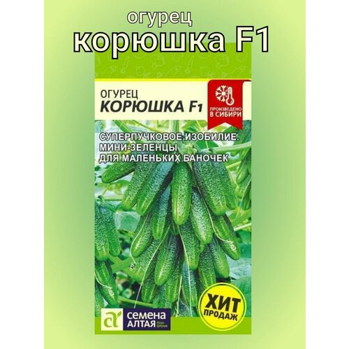 ������ ������ ������ ������ ������� F1. ����