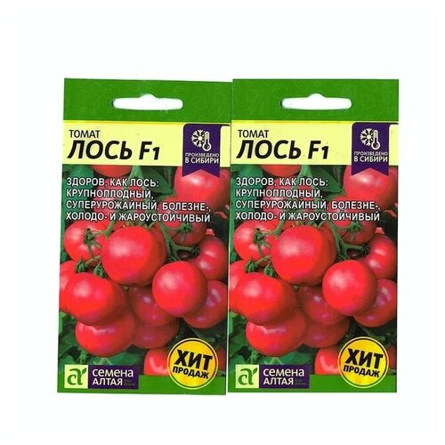 ������ ������ ������ ����� ���� F1, 2 �������� �� 3 �� ����� ����