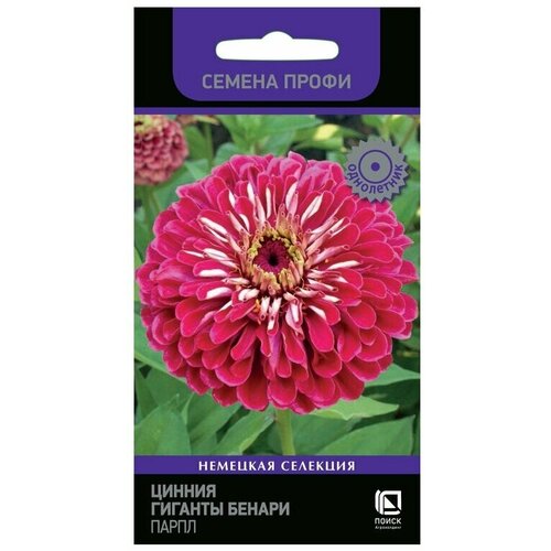 ������ ������ ������ ������ ������� ������ ����� ��������� ������ ����� ���������� 10 ��. ����