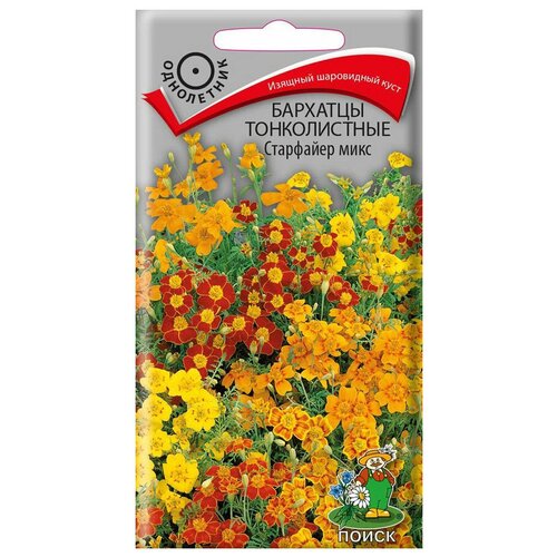 ������ ������ ������ �������� ������������ ��������� ���� ���������� 0,1 ��. ����