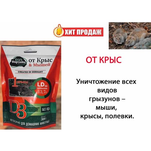 ������ ������ �������� �� ���� � ����� ��������� ����������� 300 � ����