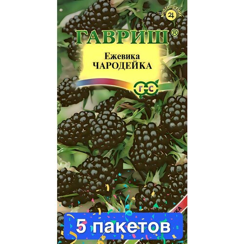 ������ ������ ������ ������ ������ 