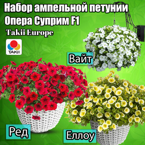 ������ ������ ����� ������ ������� ��������� ����� ������ F1 ����, ���, ����� ����