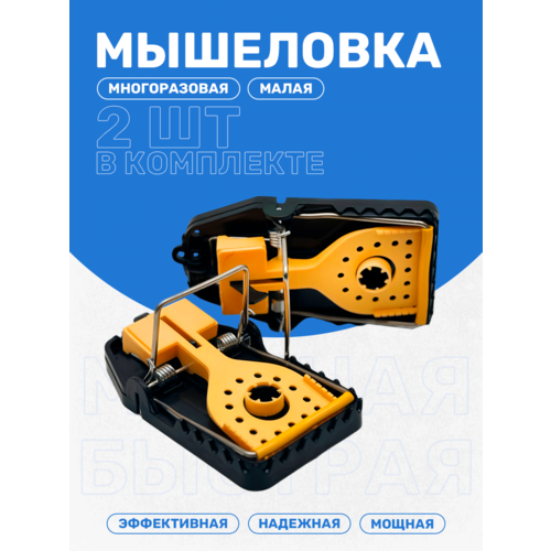 ������ ������ ��������� �����������, ������� ��� ���� � ��������, ����������, �����-������, 2 �� ����