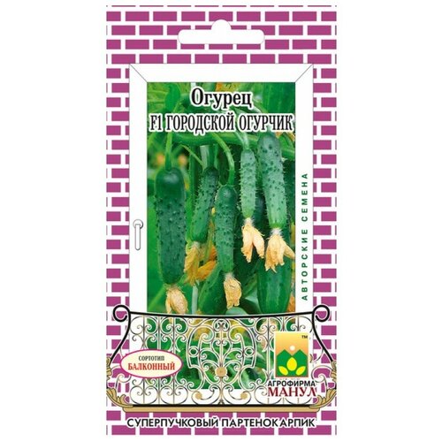 ������ ������ ������ ����� 