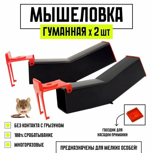 ������ ������ ��������� ��������, ������� ��� �����, ��������, ������ ���, ������� �������, ������, 2 ����� ����