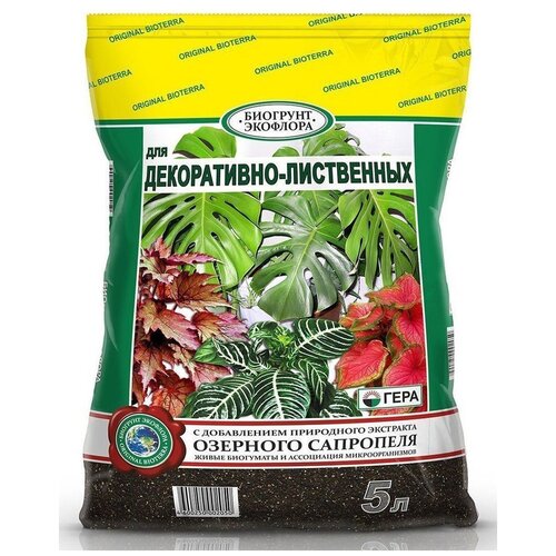 ������ ������ �������� ���� ��� �����������-���������� �������, 5 �, 1.36 �� ����