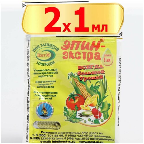 ������ ������ ����-������ ����