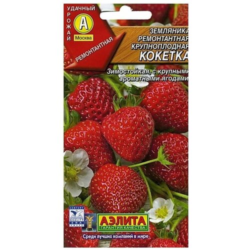 ������ ������ ��������� ������������ ������������� 