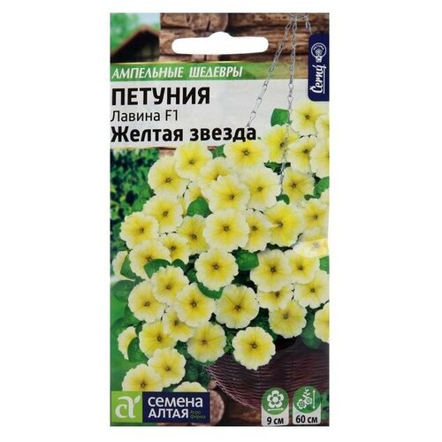 ������ ������ ������ ������� ��������� ������ ������ ������ F1 ���������� 10 ��. ����