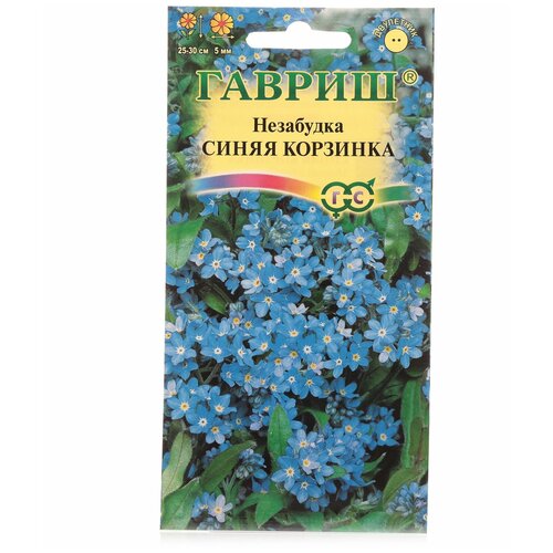 ������ ������ ������ ��������� ������ �������� 0,1 ��. ����