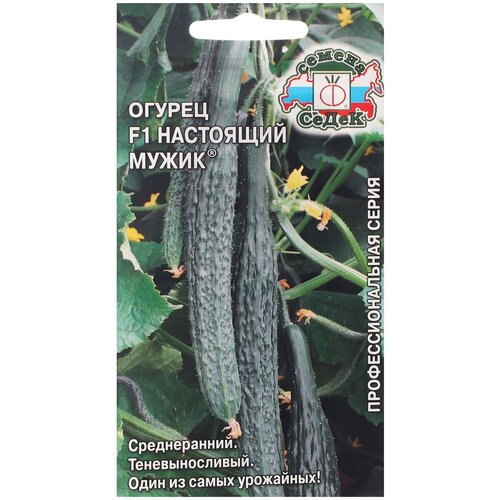 ������ ������ ������ ����� ������ ��������� ����� F1 0.2 � ����