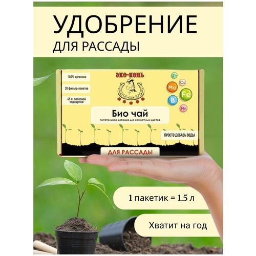 ������ ������ ��� ���� ��������� ��� ������� ���-��� ����