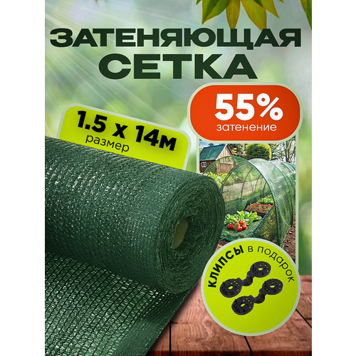 ������ ������ ����� ���������� �������, ��������� 55%, ������ 1,5�14� ����