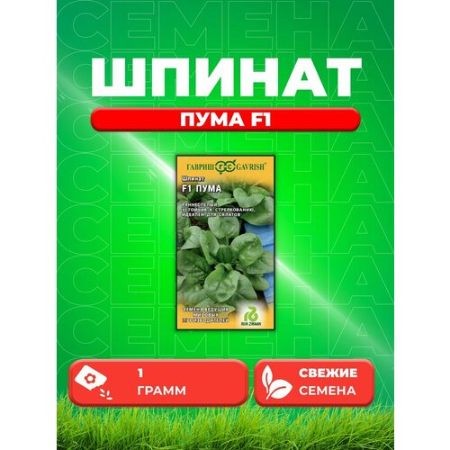 ������ ������ ������ ���� F1, 1,0�, ������, ������� ������������� ����