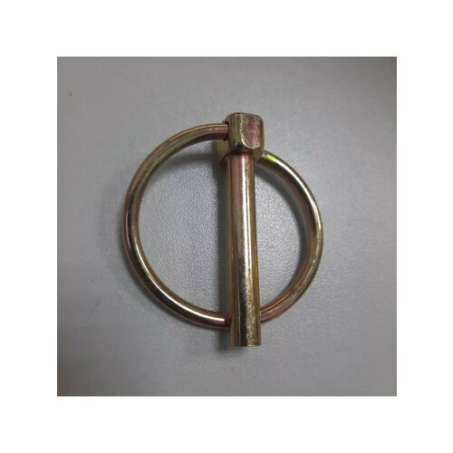 ������ ������ ������ ����� d=6��, L=40�� �� ������������//010129� (2��) ����