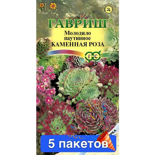 ������ ������ ������ ������ ������ 