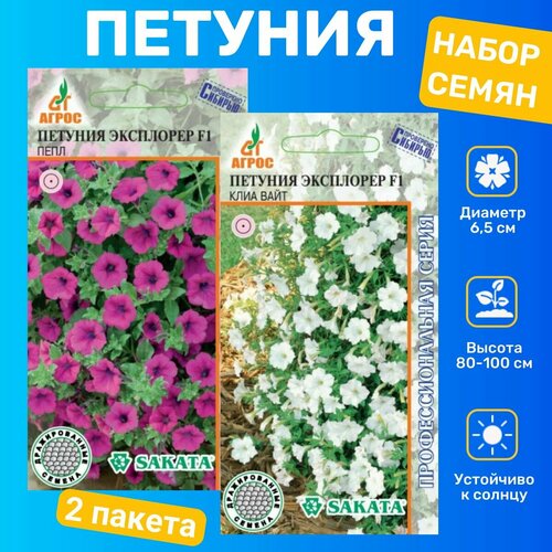 ������ ������ ������ ������� ��������� ��������� F1 ���� ����, ���� ����