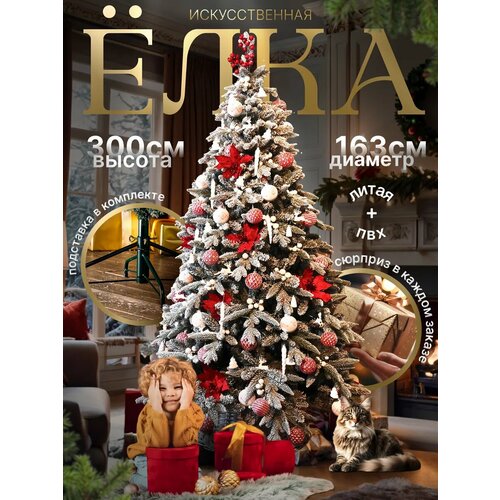 ������ ������ ������������� ���� 300 �� ����������� ����� + ��� ����