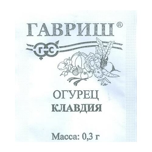 ������ ������ ������. ������ 