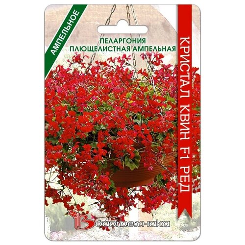 ������ ������ ������ ���������� ������������ ��������� 