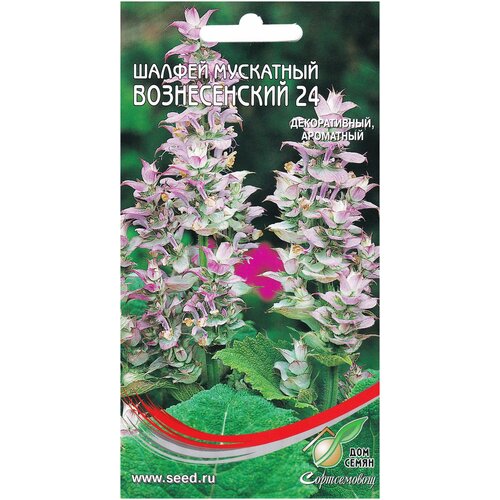 ������ ������ ������ ��������� ������������ 24, 40 ����� ����