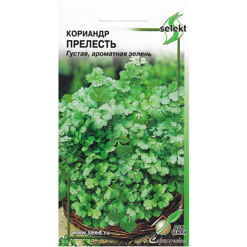 ������ ������ �������� ��������, 130 ����� ����