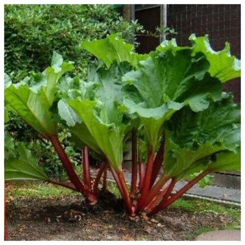 ������ ������ ������ ������ ������ �������� 20 ��. ����