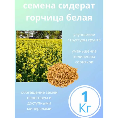 ������ ������ ������� ����� ������ ������� 1 �� ����