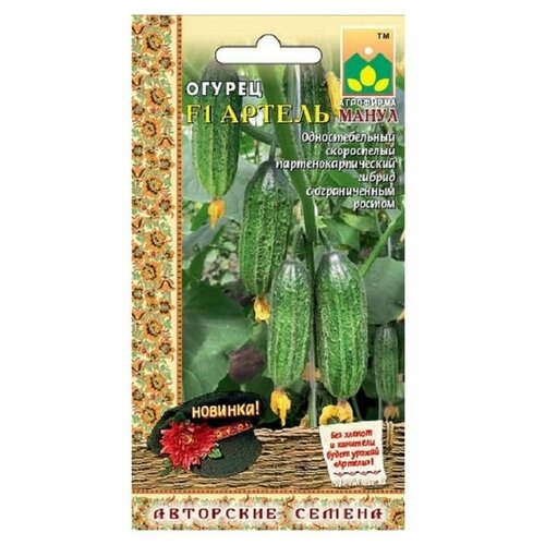 ������ ������ ������ ����� 