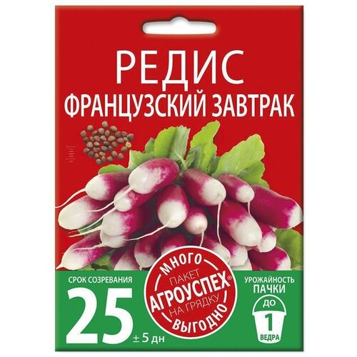 ������ ������ ����� ����������� �������, ������ �����-������� 10� ����