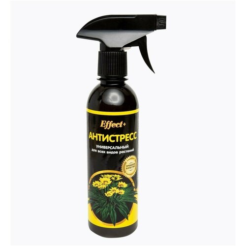 ������ ������ ������������� ����� ��� �������� Effect+ ����