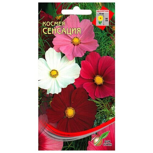 ������ ������ ������ ��������, 45 ����� ����