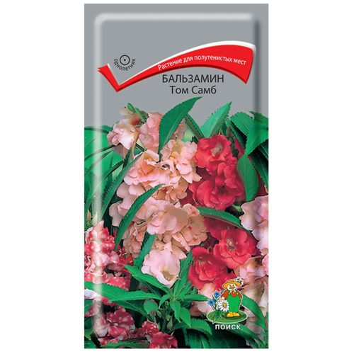 ������ ������ ������ ���������� ����� ��� ���� 0,1 � ����