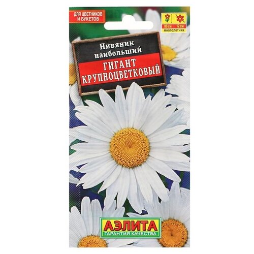 ������ ������ ������ ��������� ������ ������� ������ ��������������� ����