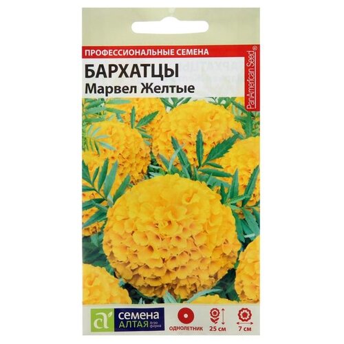 ������ ������ ������ ������ ����� �������� ������ ������ 5 ��. ����