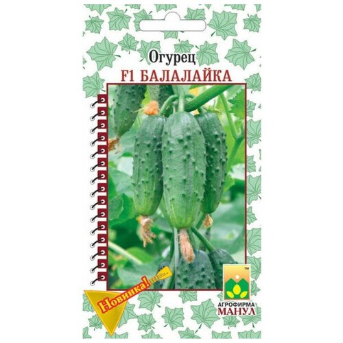 ������ ������ ������ ����� 