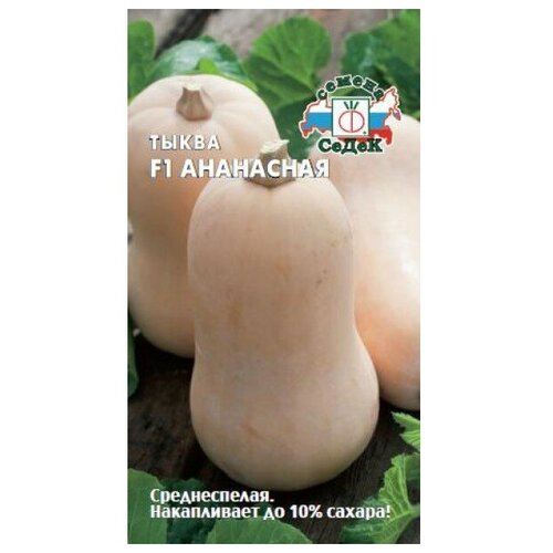 ������ ������ ����� ��������� F1 ���������, ������ ����� ( 1��: 1 � ) ����