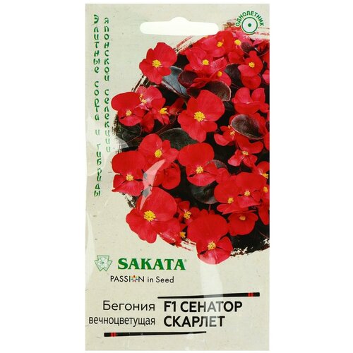 ������ ������ ������ Sakata ������� ������������� F1 ������� ������� 4 ��. ����