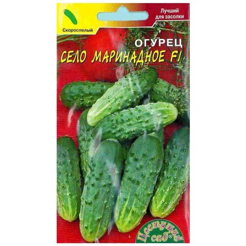 ������ ������ ������ �������� ��� 