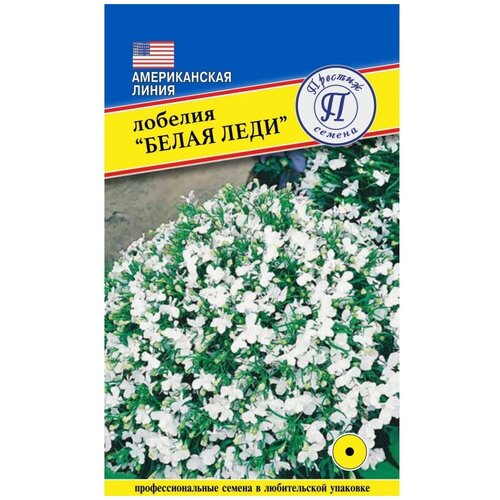 ������ ������ ������/������� ������/������ ������ /������� ����� ���� ����