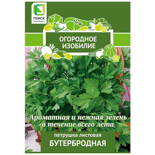 ������ ������ ������ ����� �������� ������������ ����