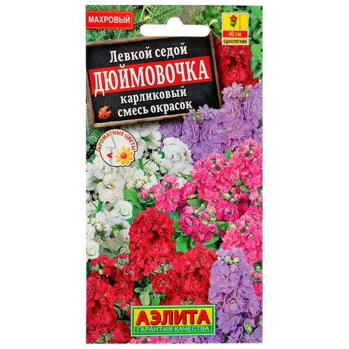 ������ ������ ������ ������ ������ ���������� 