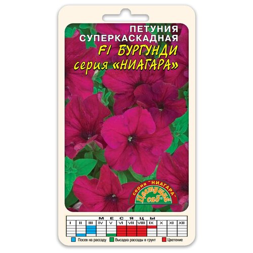 ������ ������ ����� ������� ����������� ������� F1 ������� (������ �������� ��� 10 ��. � ������) ����