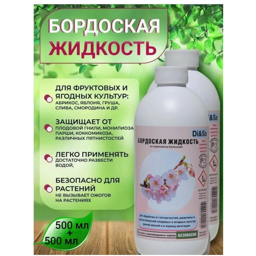 ������ ������ ��������� ��������, �������� ��� ������ ������� �� ��������, 2�� ����