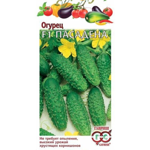 ������ ������ ������ ������ �������� F1 �������� 0,3� ������������������ (������) ����