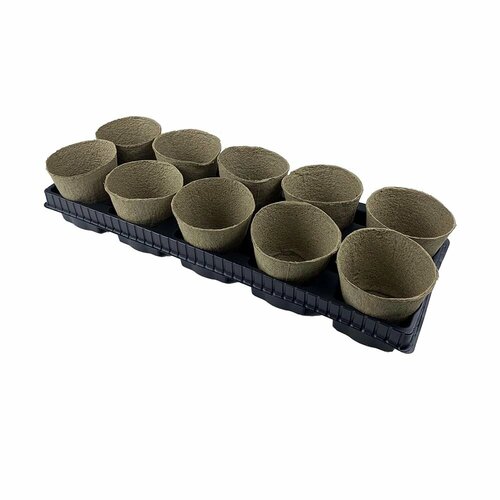 ������ ������ ����� ������������ ��� ������� 10 �� � ���������� ����