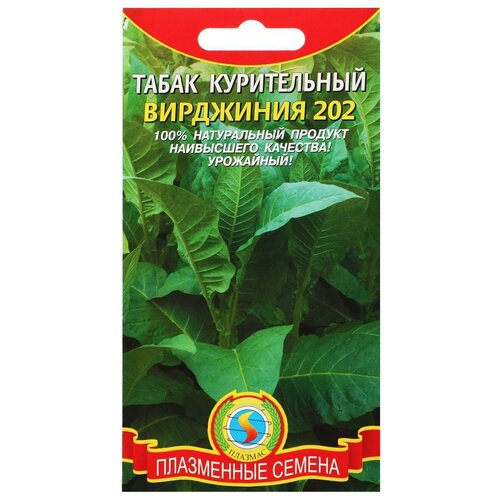 ������ ������ ������ ����� 