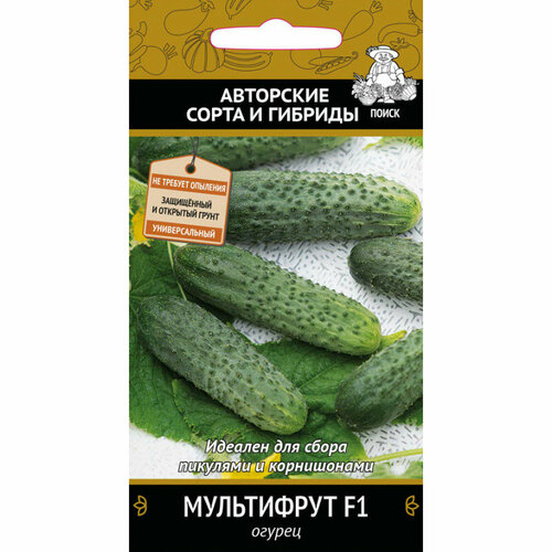 ������ ������ ������ ������ ���������� F1 12�� ������������������ ������ (�����) ����� ����