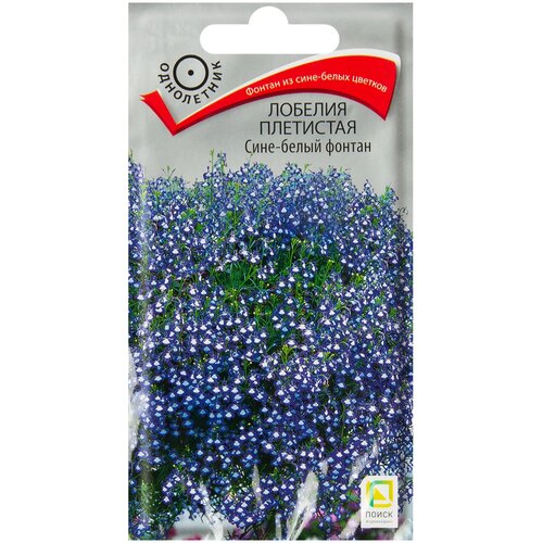 ������ ������ ������ ����� ������� ��������� ����-����� ������ 0.1 � ����